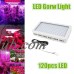 LESHP 600W LED Grow Light for Indoor Plants Panel Lamp Spectrum Indoor Plant Veg Flower Hydroponic Energy Saving   568973046
